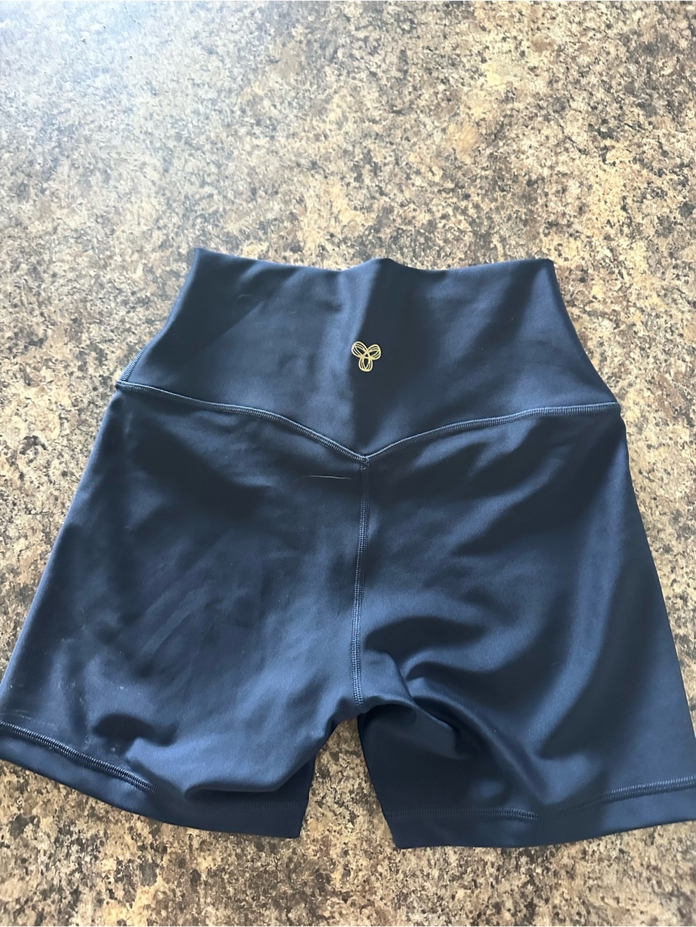 Aritzia Black High-Waist V-Seam Bike Shorts